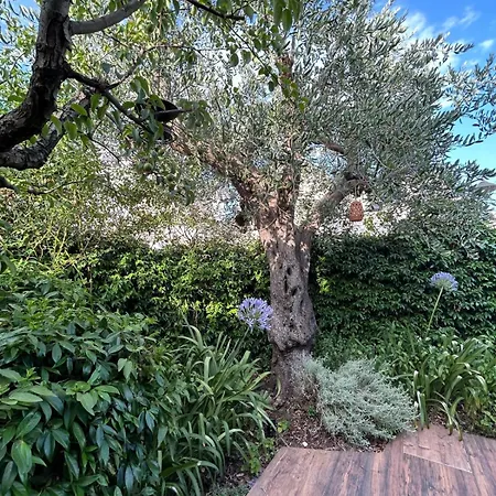 Trulli Madia Luxury Daire *