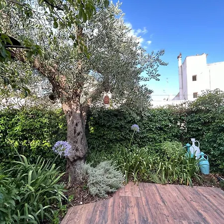Trulli Madia Luxury Alberobello
