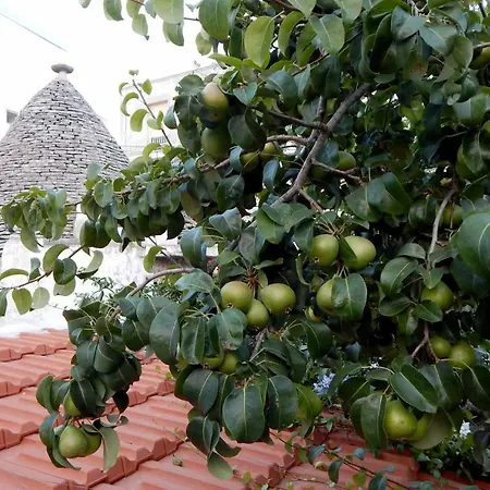 Daire Trulli Madia Luxury *