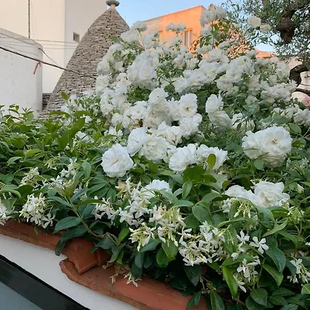 דירה Trulli Madia Luxury אלברובלו